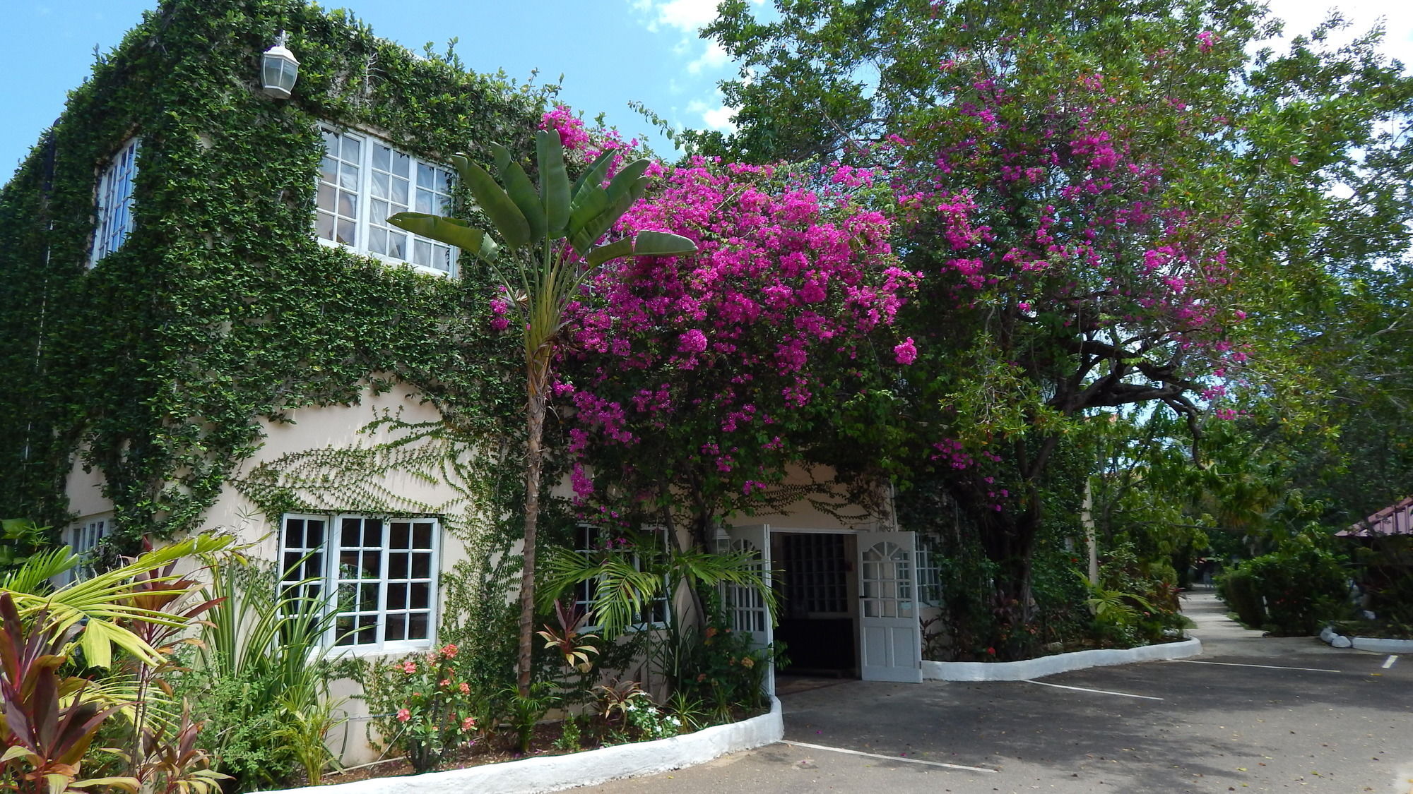 Mangos Jamaica Adults Only Hotel Falmouth Luaran gambar
